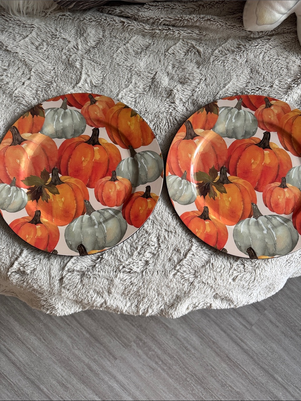 Set of 2 Autumn 🍂 Pumpkin Decorative Charger plates